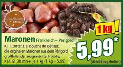 Norma Maronen Angebot