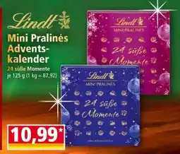 Norma Lindt Mini Pralinés Adventskalender Angebot