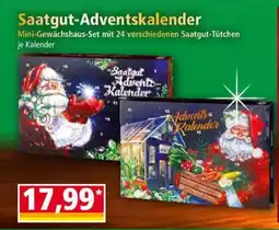 Norma Saatgut-Adventskalender Angebot