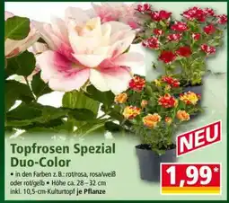 Norma Topfrosen Spezial Duo-Color Angebot