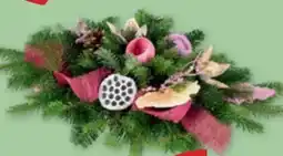 PENNY Grabgestecke Exklusiv Angebot