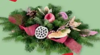 PENNY Grabgestecke Exklusiv Angebot