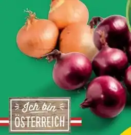 PENNY Ich bin Österreich Zwiebeln Angebot