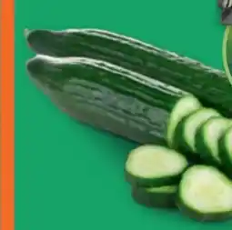 PENNY Echt Bio Gurken Angebot
