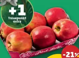 PENNY Pink Lady Äpfel Angebot