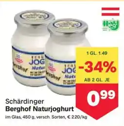 MPreis Berghof Naturjoghurt Angebot