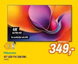 Expert 43 LED-TV Angebot