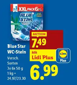 Lidl Blue Star WC Stein Angebot
