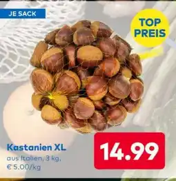 T&G Kastanien xl Angebot