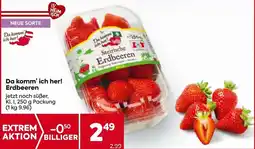 Billa Da komm' ich her! Erdbeeren Angebot