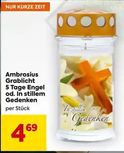 Billa Ambrosius Grablicht Angebot