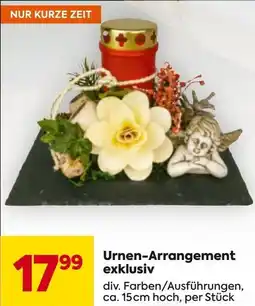 Billa Urnen Arrangement exklusiv Angebot