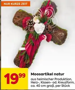 Billa Moosartikel natur Angebot