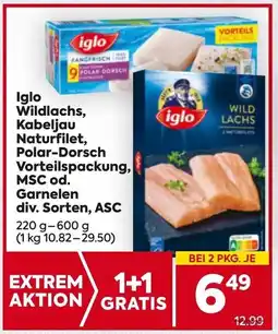 Billa Iglo Wildlachs, Kabeljau Naturfilet, Polar Dorsch Vorteilspackung, MSC od. Garnelen Angebot