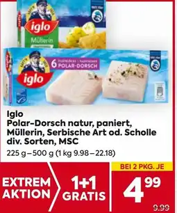Billa Polar-Dorsch natur, paniert, Müllerin, Serbische Art od. Scholle Angebot