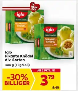 Billa Iglo Pikante Knödel Angebot