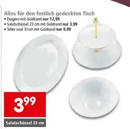 Interspar Salatschüssel 23 cm Angebot