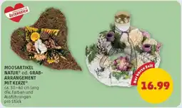 PENNY MOOSARTIKEL NATUR* od. GRAB-ARRANGEMENT MIT KERZE Angebot