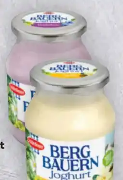 Billa Schärdinger Bergbauern Joghurt Angebot
