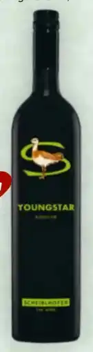 Billa Weingut Scheiblhofer Youngstar Angebot