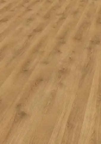 XXXLutz Venda Laminatboden Angebot