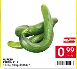 Transgourmet Gurken krumm Angebot