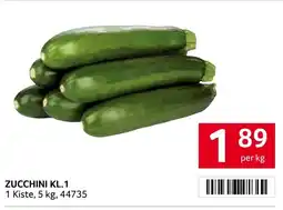 Transgourmet Zucchini Angebot