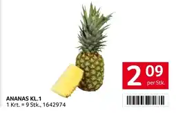 Transgourmet Ananas Angebot