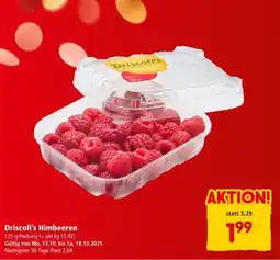 Interspar Driscoll's Himbeeren Angebot