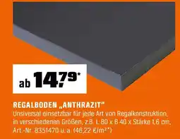 OBI Regalboden anthrazit Angebot