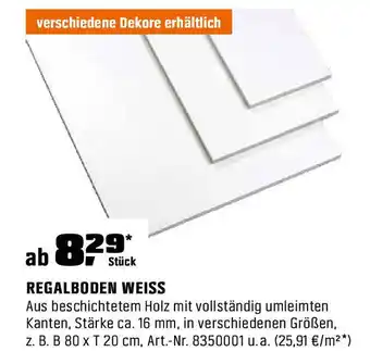 OBI Regalboden weiss Angebot