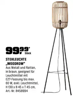 OBI Stehleuchte woodrow Angebot