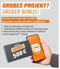 OBI Grobes projekt? großer bonus! Angebot