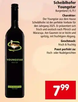 Interspar Scheiblhofer Youngstar Angebot