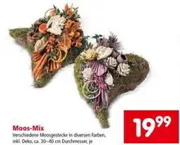 Interspar Moos Mix Angebot