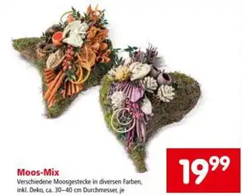 Interspar Moos Mix Angebot