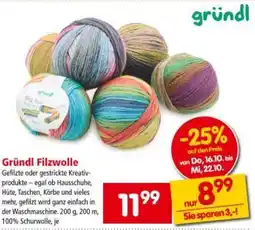 Interspar Gründl Filzwolle Angebot