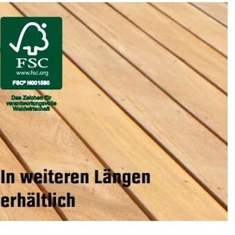OBI Terrassendiele Cumaru Angebot