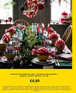 IKEA Vinterfintkunstblume, drinnen/draussen a maryllis/rot weiss, 60 cm Angebot