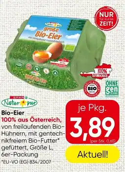 Spar Bio-Eier Angebot