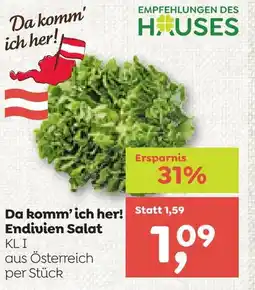 ADEG Da komm'ich her! endivien salat Angebot