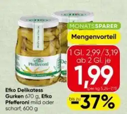Spar Efko Delikatess Angebot