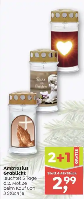 ADEG Ambrosius Grablicht Angebot