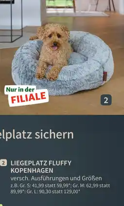 Fressnapf Liegeplatz fluffy kopenhagen Angebot