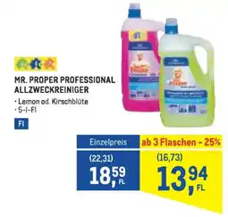 Metro Mr. proper professional allzweckreiniger Angebot