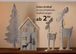 NKD Deko Artikel Angebot