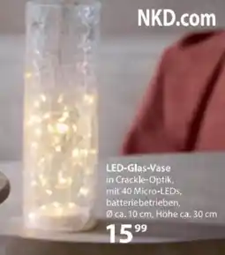 NKD LED Glas Vase Angebot