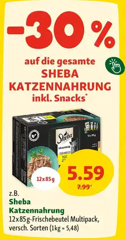 Fressnapf Sheba katzennahrung Angebot