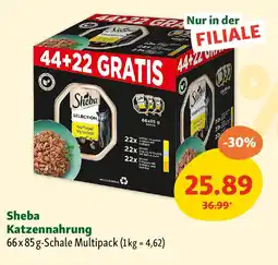 Fressnapf Sheba Katzennahrung Angebot