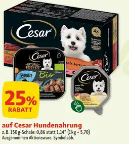 Fressnapf Auf cesar hundenahrung Angebot